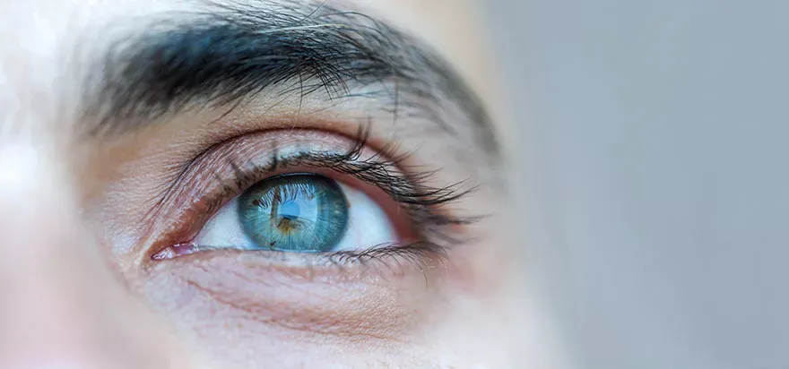 what-is-a-visual-field-test